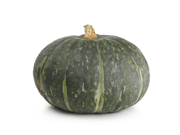Green pumpkin — Stock Photo, Image