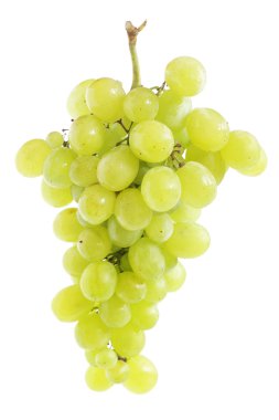 White grape cluste clipart