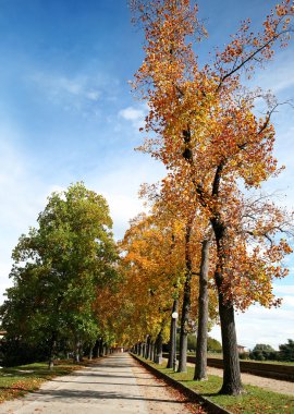 Park in Autumn clipart