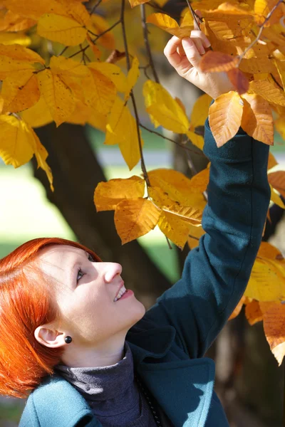 Mulher jovem desfrutando de belas cores de outono — Fotografia de Stock