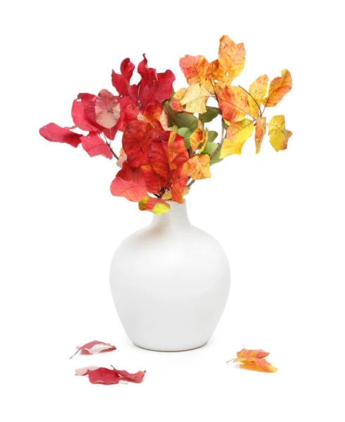 Kytice Rush v bílé vázy — Stock fotografie