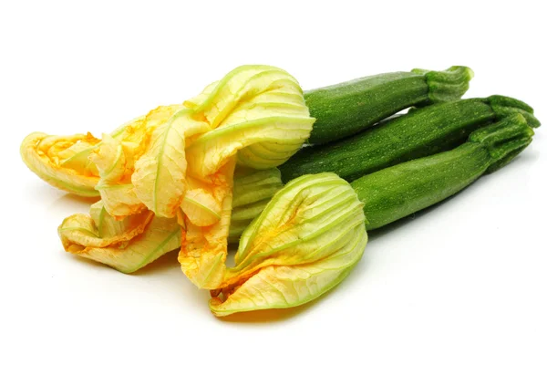 Zucchini med blomma — Stockfoto