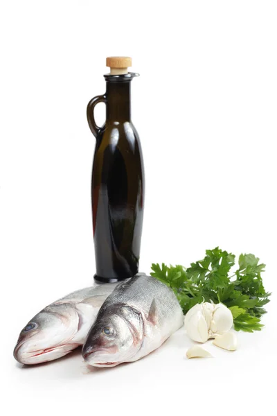 海鲈鱼鱼与香菜、 大蒜和橄榄油 — 图库照片