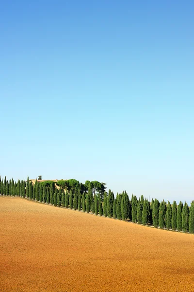 Vista magnífica da Toscana, Itália — Fotografia de Stock