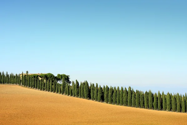 Toscana — Fotografia de Stock