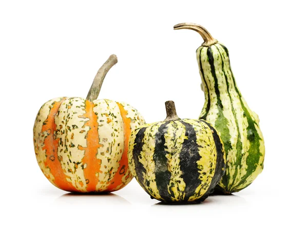 Three pumpkins — Stock Photo, Image
