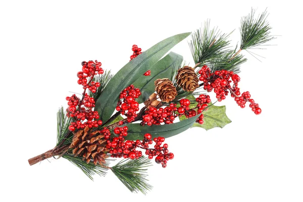Christmas branch — Stock Photo, Image
