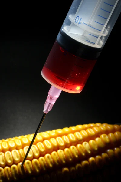 遺伝子組換えトウモロコシの食品のコンセプト — ストック写真
