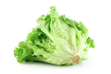 Green salad clipart