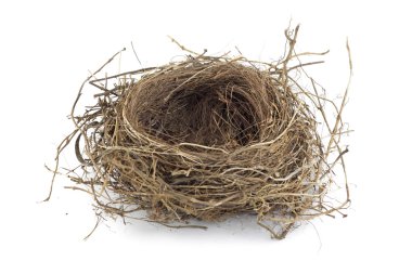 Bird nest clipart