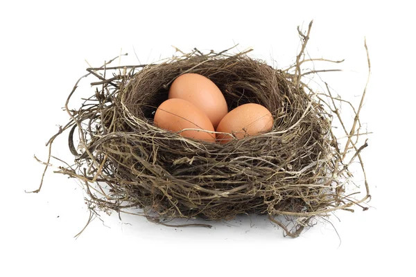 Яйця в гніздо — стокове фото