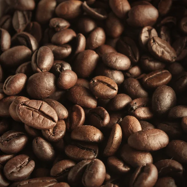 stock image Close up of coffee beans