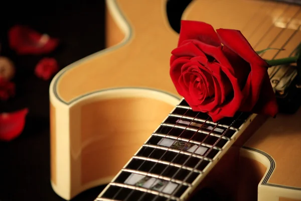 Rose en la guitarra jazz —  Fotos de Stock