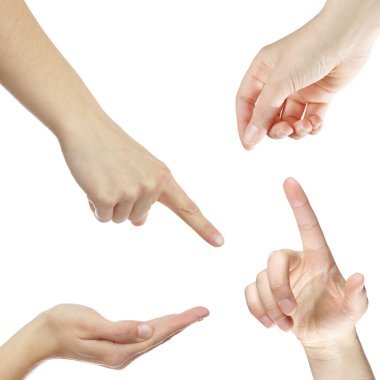 Female hands pointing and holding clipart