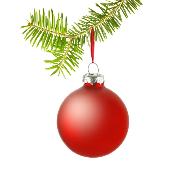 Red christmas bauble on branch — Stock Photo, Image