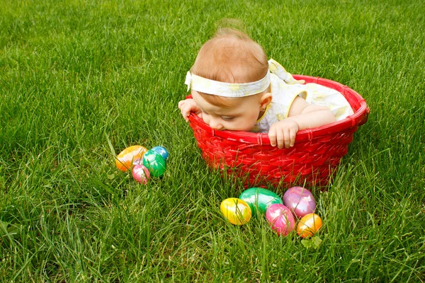 Pasqua bambino in cestino peek — Foto Stock