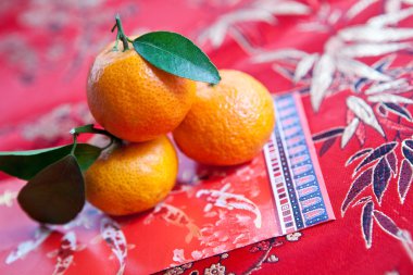 Mandarin oranges with Chinese new year money packet clipart