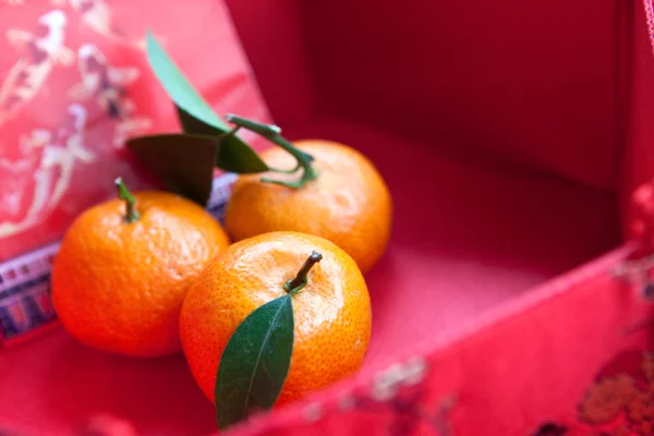 stock image Mandarin oranges with Chinese new year money packet