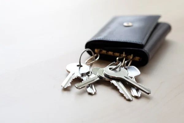 Massa nycklar i läder pouch — Stockfoto