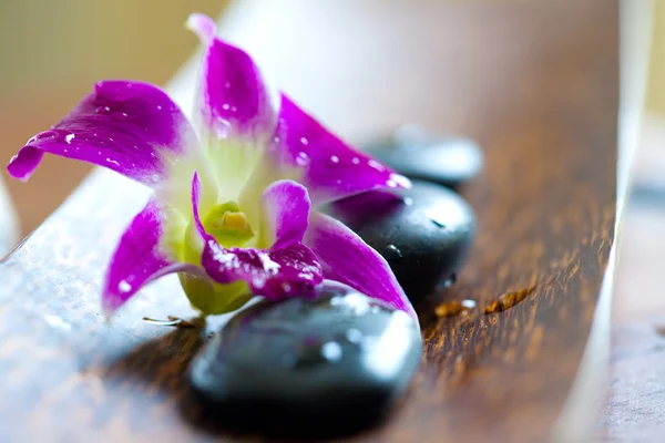 Hot stone for spa with orchid — Stock Photo, Image