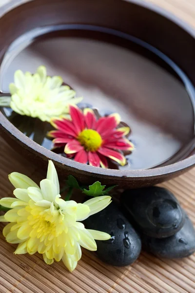Lázeňské prostředí s horkými kameny s chryzantéma a misku s vodou. — Stock fotografie