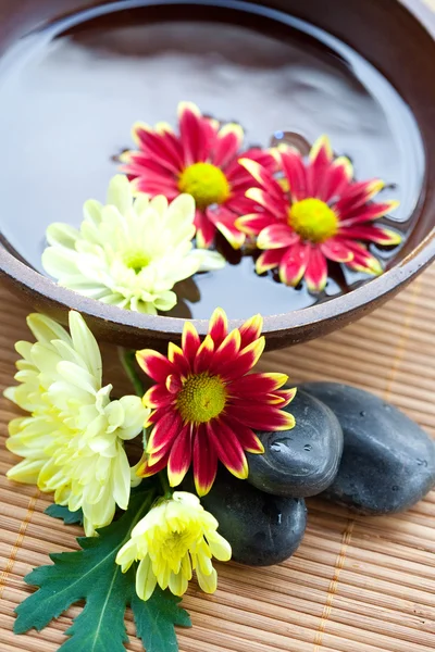 Wellness-Setting mit heißen Steinen mit Chrysanthemen und Wasserschale. — Stockfoto