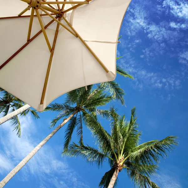 Parasol en palm bomen tegen tropische blauwe luchten — Stockfoto