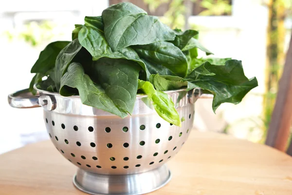 Fresh spinach in metal colander — Stock Photo, Image