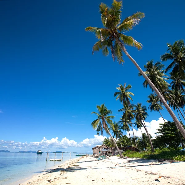 Tropisch eiland in de zon — Stockfoto
