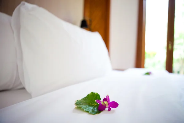 Freshly made bed in the tropics — Stock Photo, Image