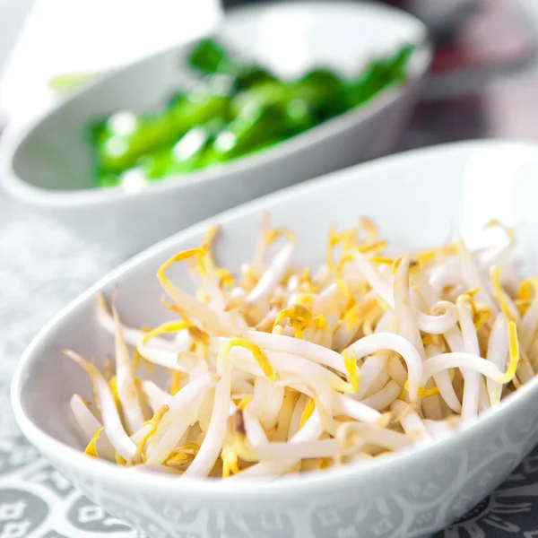 Bean sprouts and steamed baby bokchoi, — Stock Photo, Image