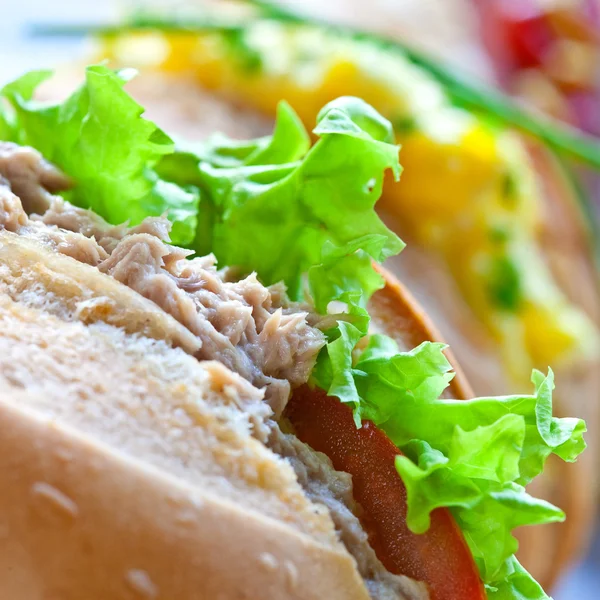 Sandwich gulung dengan telur, tuna dan salad — Stok Foto