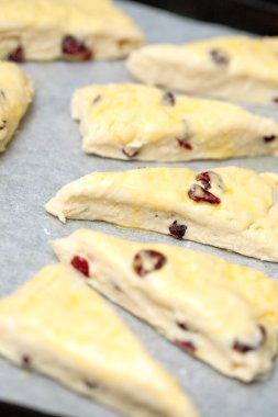 Homemade cranberry scones clipart