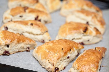 Freshly baked cranberry scones on plate clipart