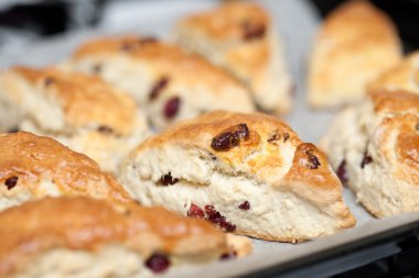 Freshly baked cranberry scones on plate clipart