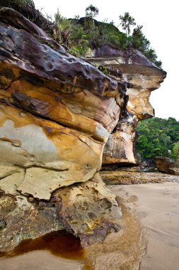 Rock and hill formation due to earth corrosion at the Bako National Park, Sarawak. clipart