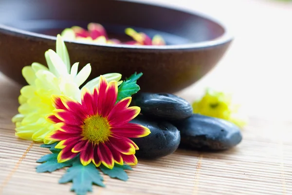 Spa setting with hot stones with chrysanthemum and bowl of water. — Stock Photo, Image