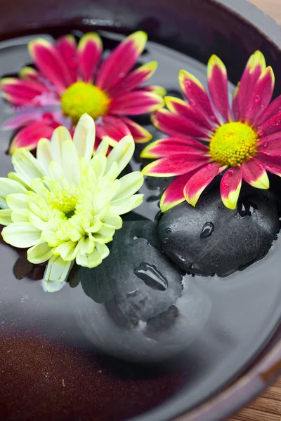 Ambiente Spa con pietre calde con crisantemo e ciotola d'acqua . — Foto Stock