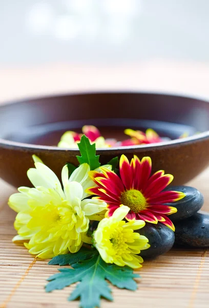 Spa setting with hot stones with chrysanthemum and bowl of water. — Stock Photo, Image