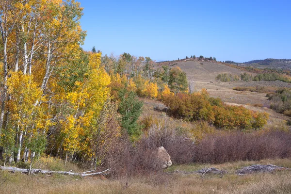 Autumn on Pinyon Mesa — Stock Photo, Image