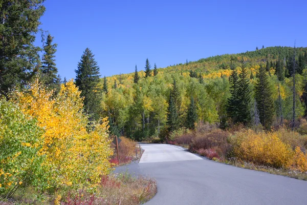 Autumn on the Grand Mesa — Stock Photo, Image