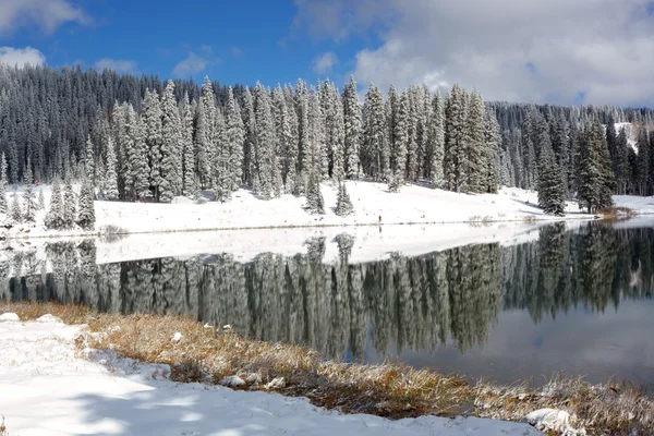 stock image Mountain Lake in Early Winter