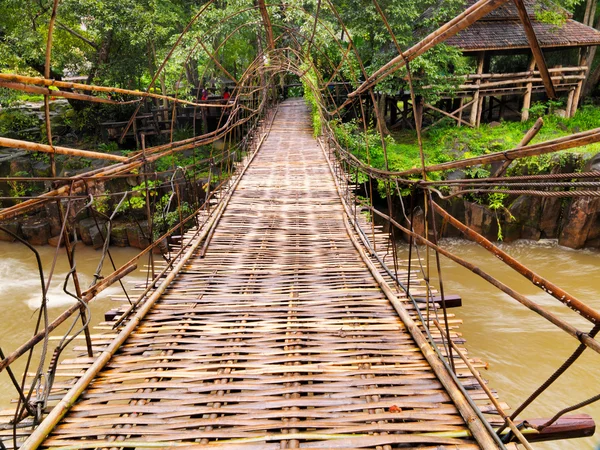 Wiszący most w dżungli — Zdjęcie stockowe