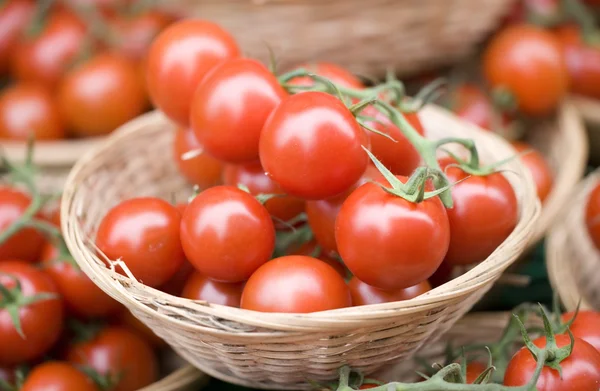 stock image Cherry tomatoes