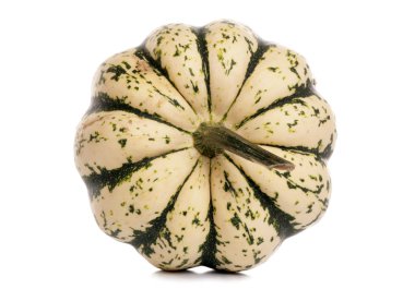 Palyaço squash