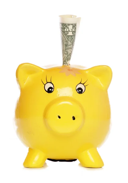 Gelbes Sparschwein mit einem Dollar — Stockfoto