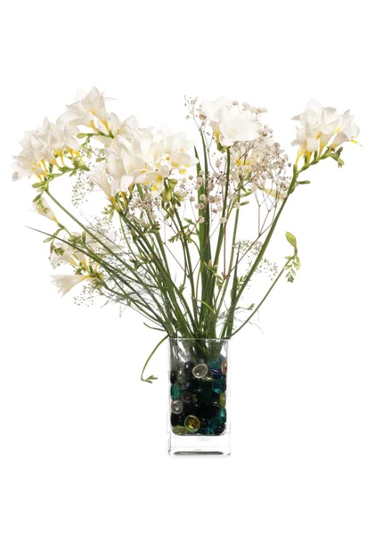 Vita blommor i en vas — Stockfoto