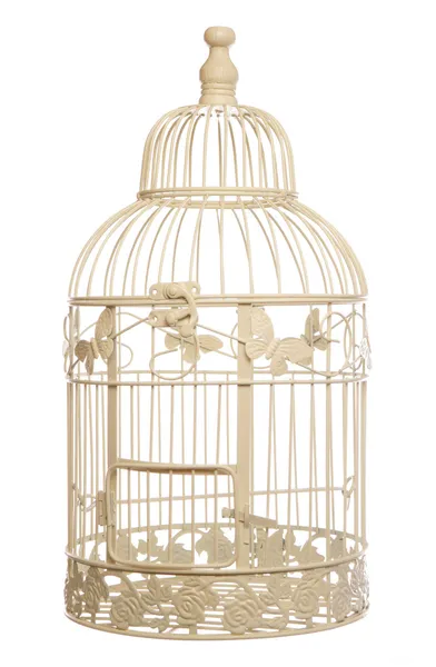 Vintage shabby chic bird cage — Stock Photo, Image
