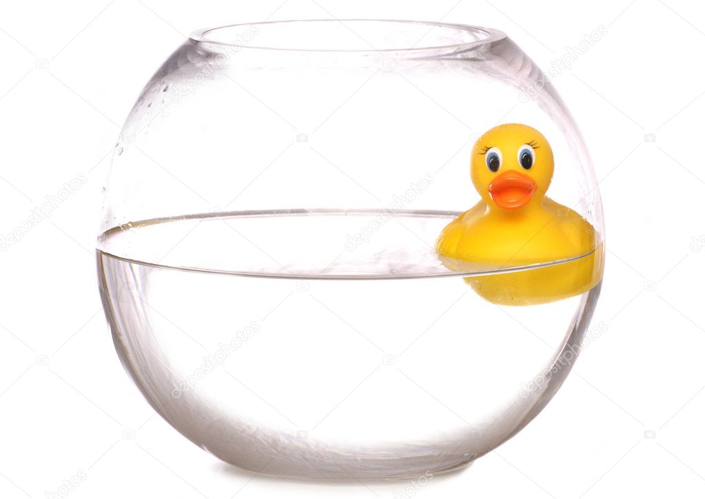 Yellow rubber duck in a fish bowl ⬇ Stock Photo, Image by ...