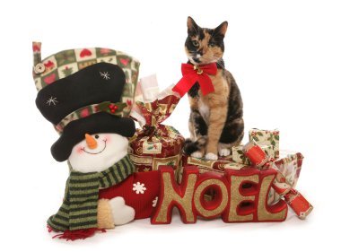 Moggy Christmas Cat clipart